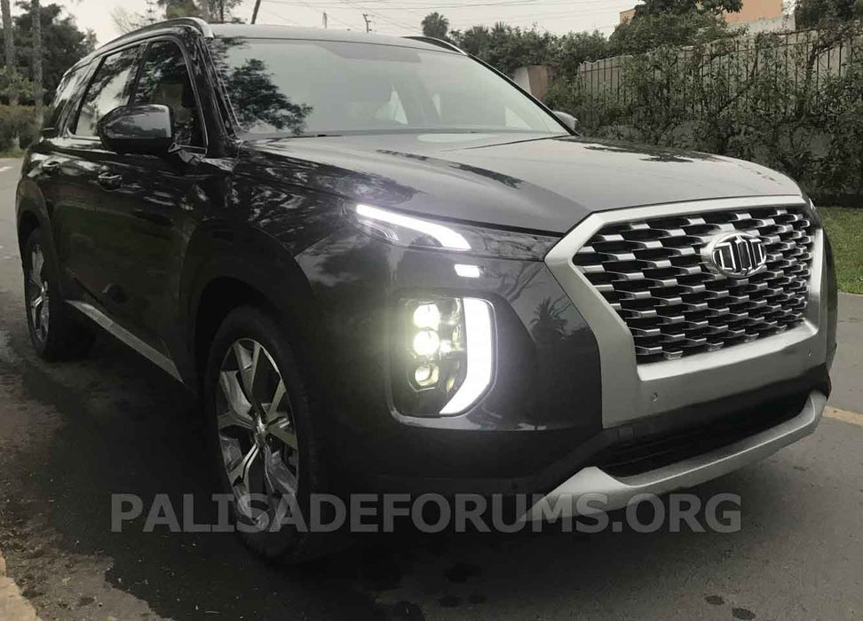 BRENTHON Emblem Set for Hyundai Palisade 2020-2022