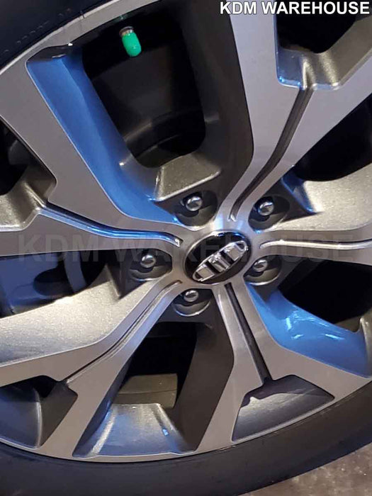 BRENTHON Emblem Set for Hyundai Palisade 2020-2022