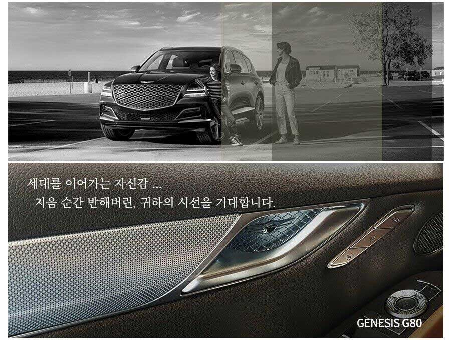 Designer Door Handle Catch Plate Set (4pcs) For 2015+ Genesis Sedan, G70, G80, GV70, GV80