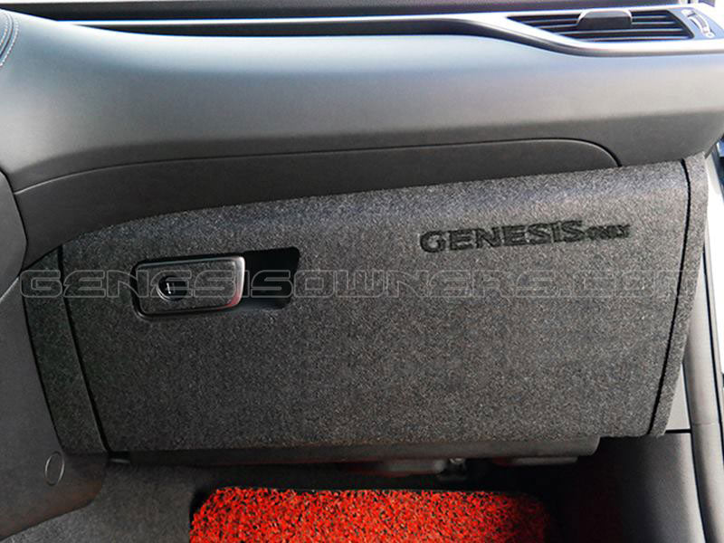 Fabric Door and/or Glovebox Protector Sets