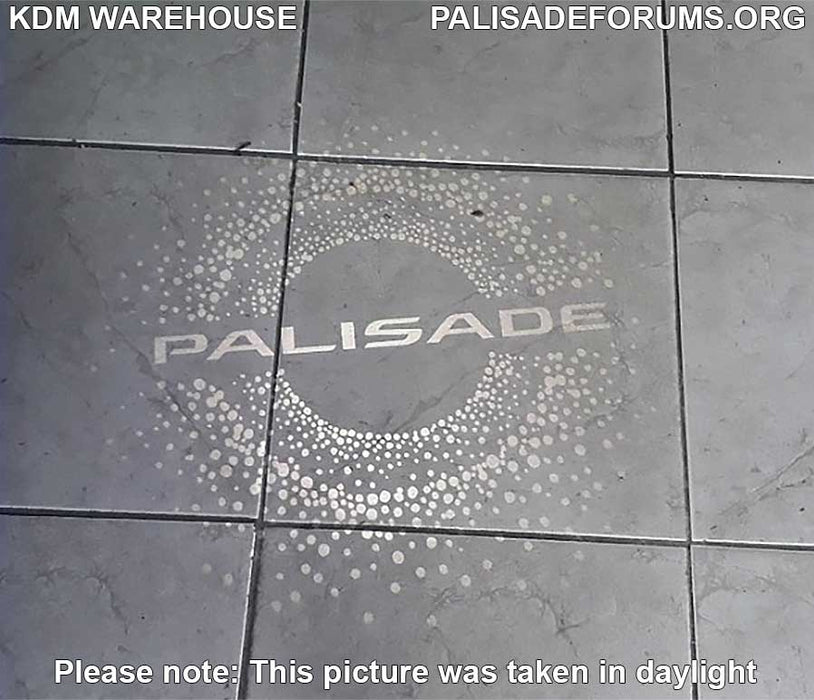 2020+ Palisade LED Door Courtesy Light Kit Set