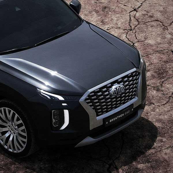 BRENTHON Emblem Set for Hyundai Palisade 2020-2022