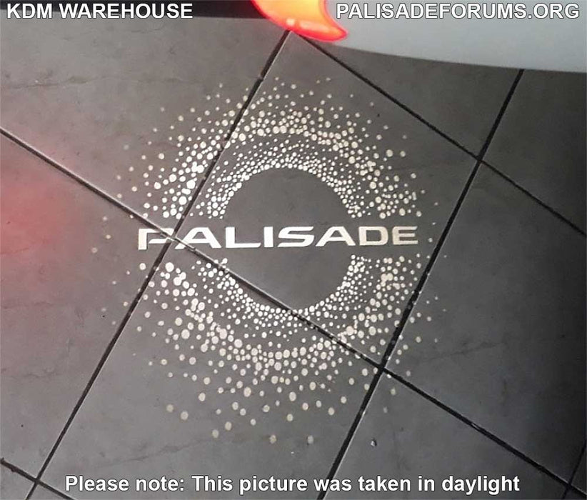 2020+ Palisade LED Door Courtesy Light Kit Set