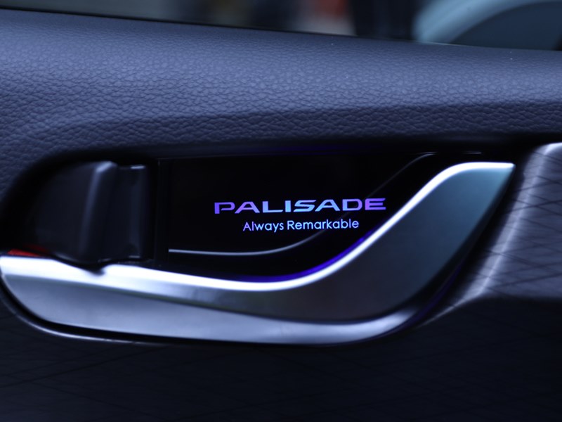 Hyundai Palisade Designer LED-Lit Door Catch Plate Kit